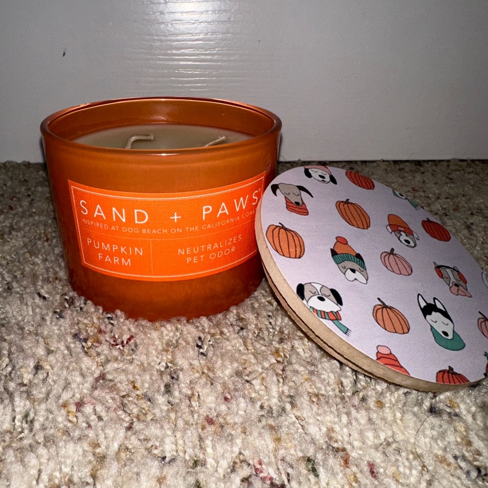 Sand and fog paws 🐾 pumpkin 🎃 farm holiday fall candle - Picture 3 of 9